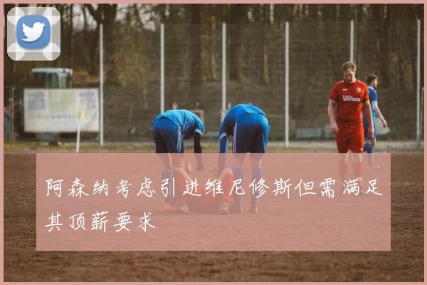 阿森纳考虑引进维尼修斯但需满足其顶薪要求